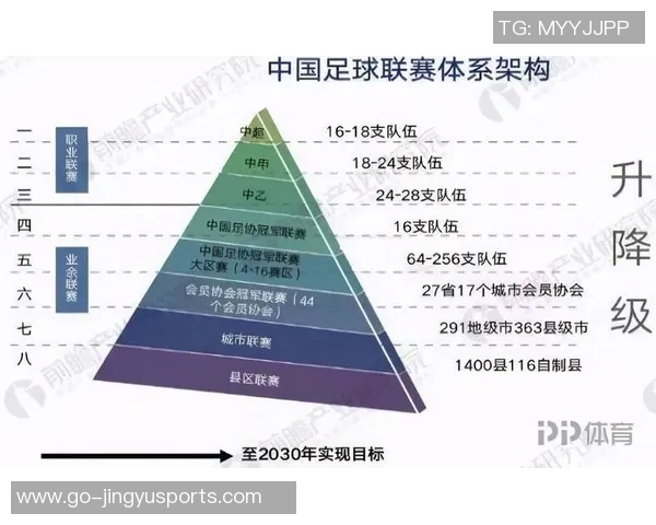 足球明星选择定居中国背后的故事与影响分析